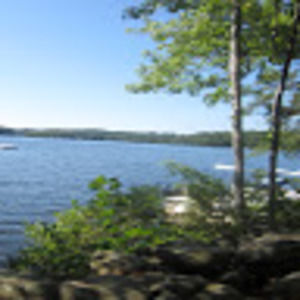 Meet your Posher, Shifra